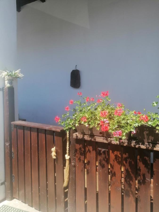 فندق Casa Huber Carta  المظهر الخارجي الصورة